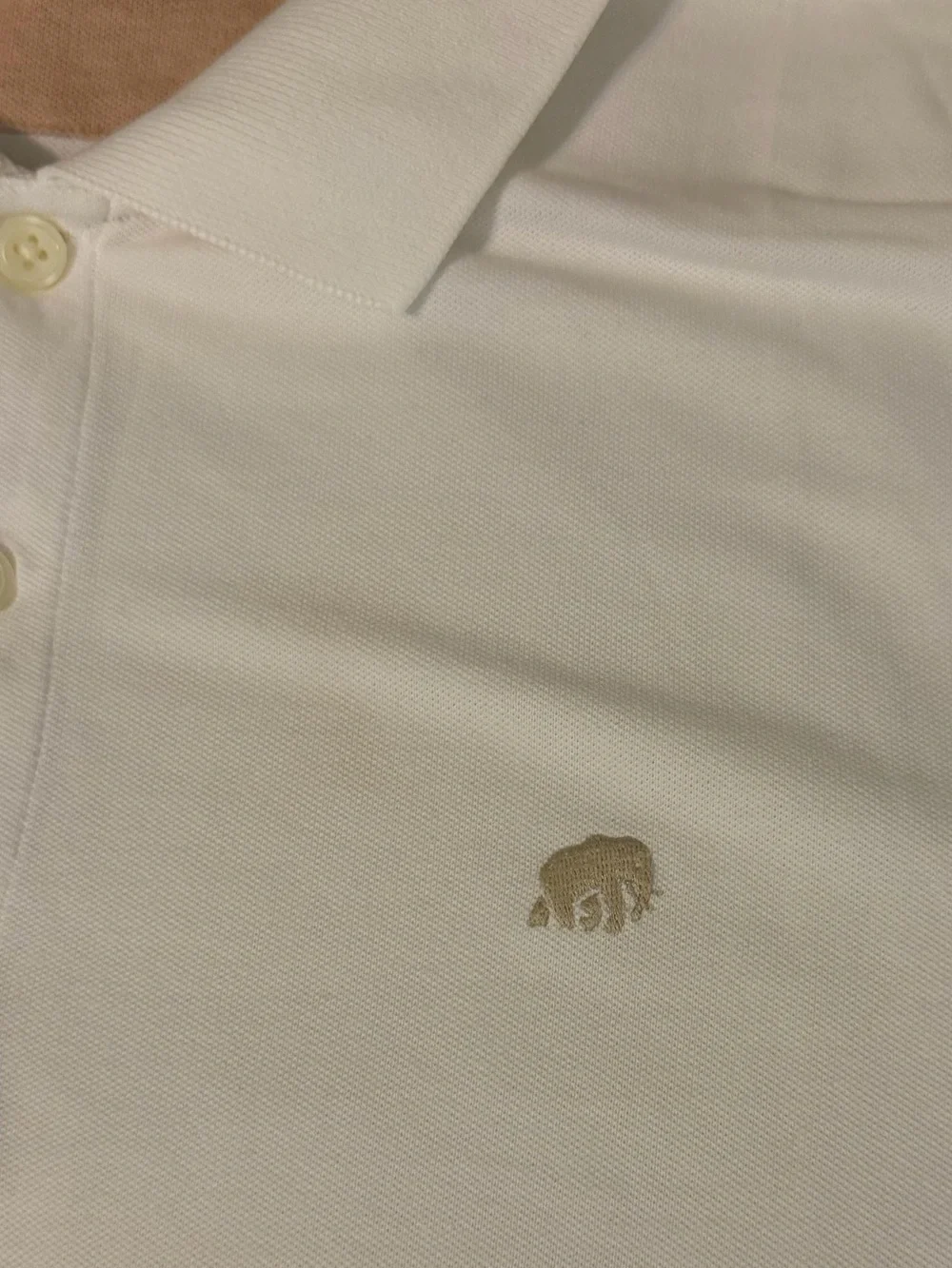 Banana Republic Cream Polo with Peach Interior
